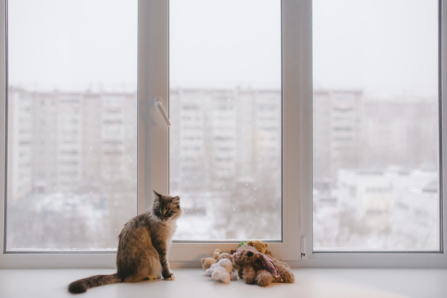 Retractable Cat Mesh